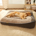 RobustSleep™ – Kratzfeste Hundematte mit Wirbelsäulen Schutz - Vierbein Freund